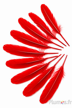 Oie - 15-21 cm - rouge